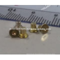 Micro Screw, Fastener, Metal Rivet Pin & cold forging part